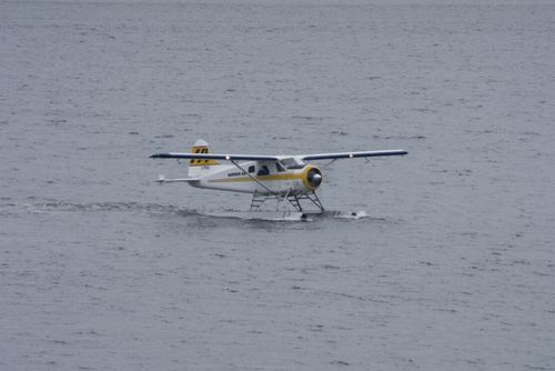 水上飛行機