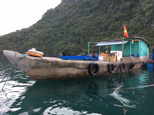 Cua Van Floating fishing village